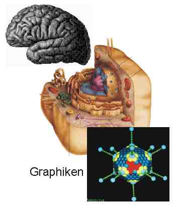 title2l.jpg
